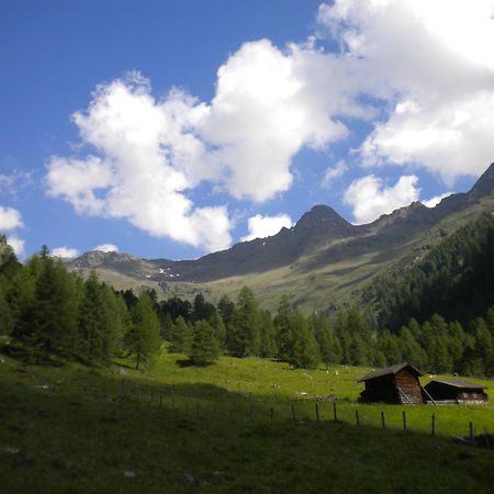 Bed & Breakfast Dolomiti Bey Haus Pinter Assling Экстерьер фото