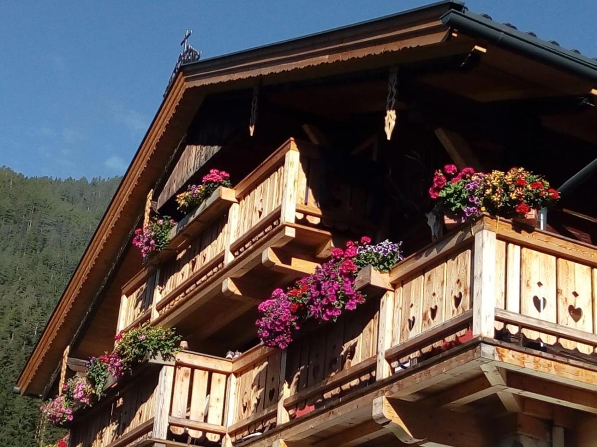 Bed & Breakfast Dolomiti Bey Haus Pinter Assling Экстерьер фото
