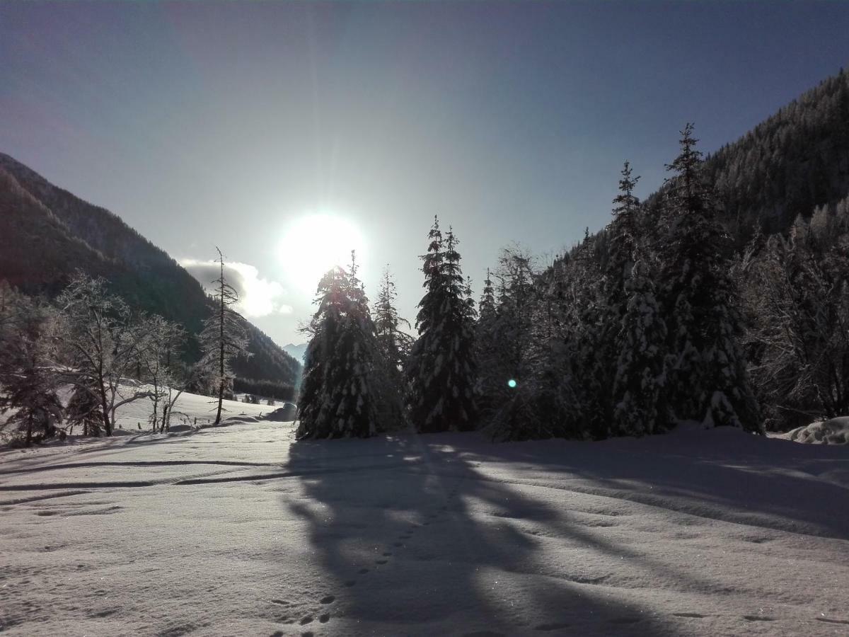 Bed & Breakfast Dolomiti Bey Haus Pinter Assling Экстерьер фото