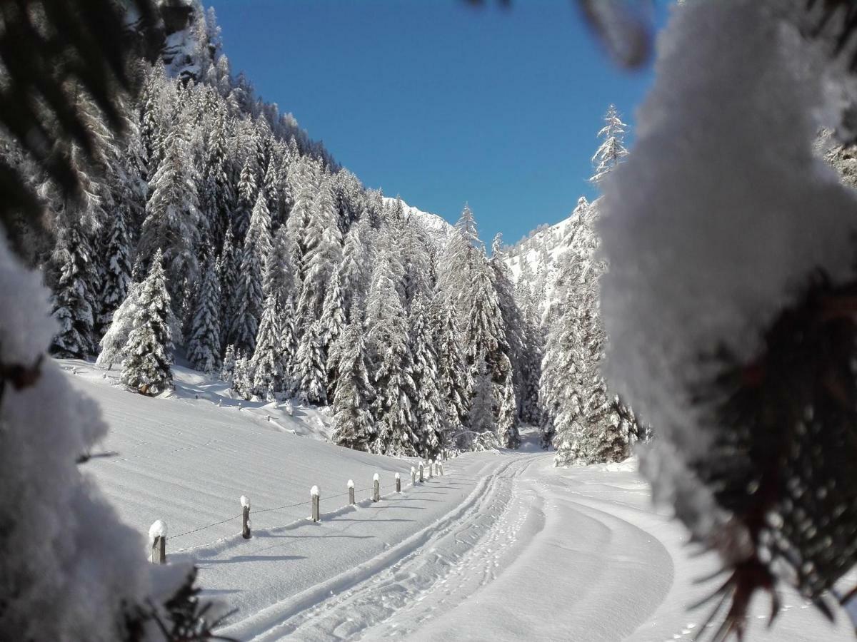 Bed & Breakfast Dolomiti Bey Haus Pinter Assling Экстерьер фото